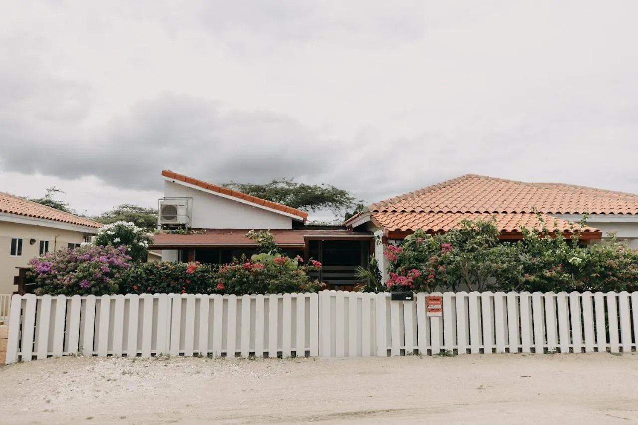 Bubali Studio Palm Beach 0*,